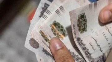 صرف مبكر.. موعد جديد يحدد دفع رواتب نوفمبر 2025 للمعلمين والعاملين